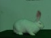 IMG-20240102-WA0026